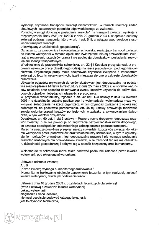 Co dzieje się w „Przytul Psisko”?