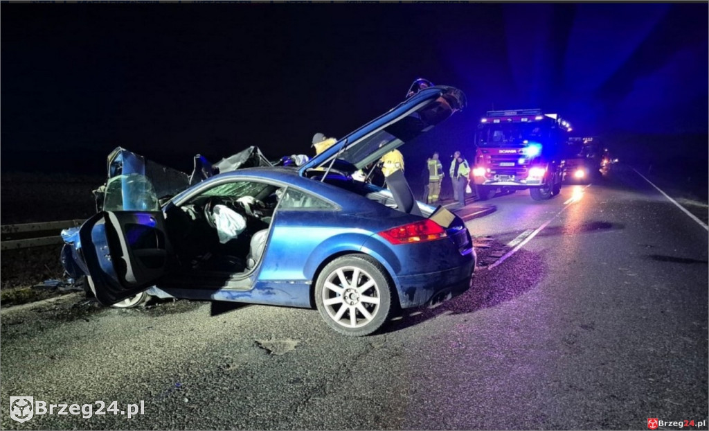 Czołówka na DK94 w Strzelnikach