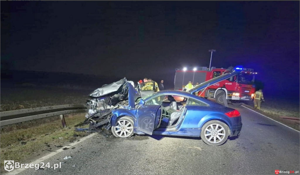 Czołówka na DK94 w Strzelnikach