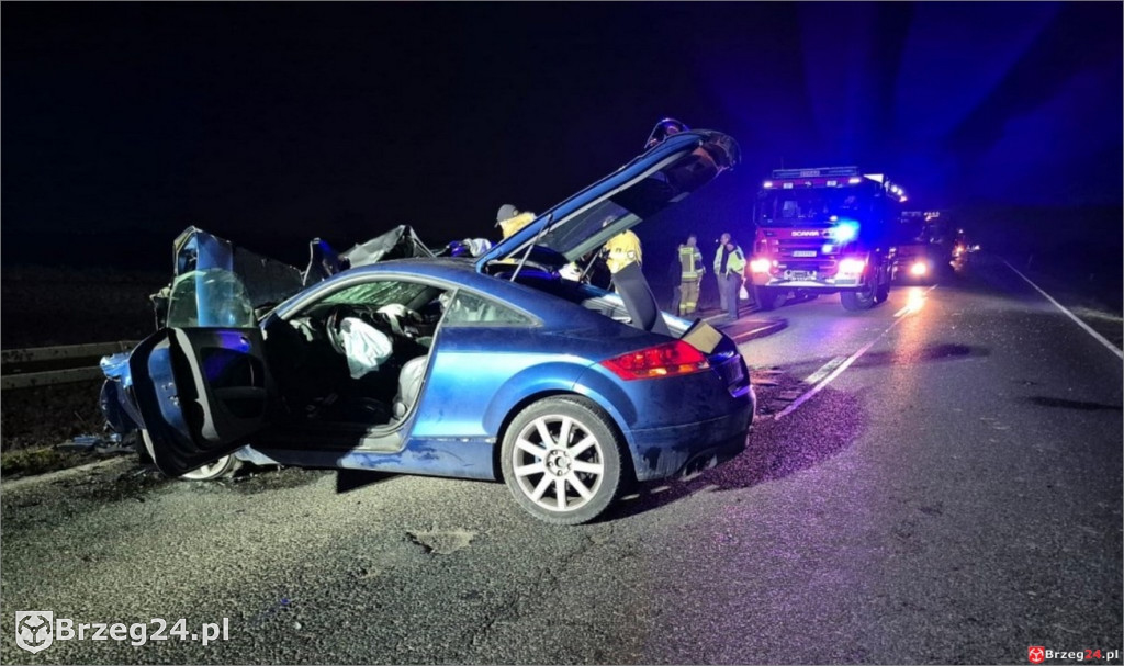 Czołówka na DK94 w Strzelnikach