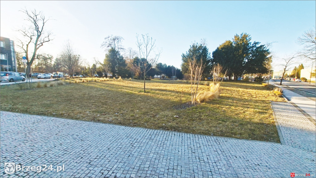 Skwer między Oławską a Wrocławską z nową  nazwą
