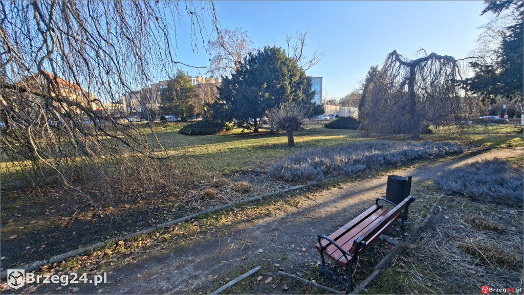 Skwer między Oławską a Wrocławską z nową  nazwą