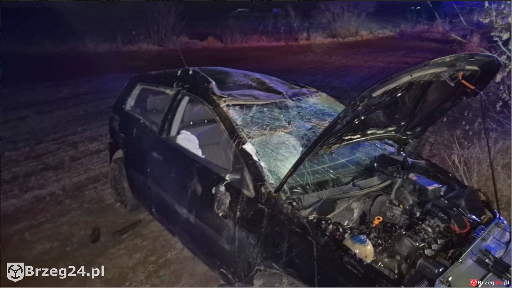 Nocny wypadek na drodze z Lewina do Magnuszowic