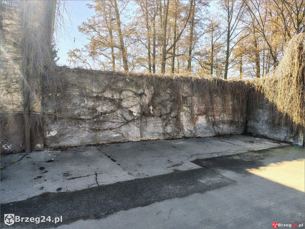 Wodnik - 20 lat dzierżawy i remont w pakiecie