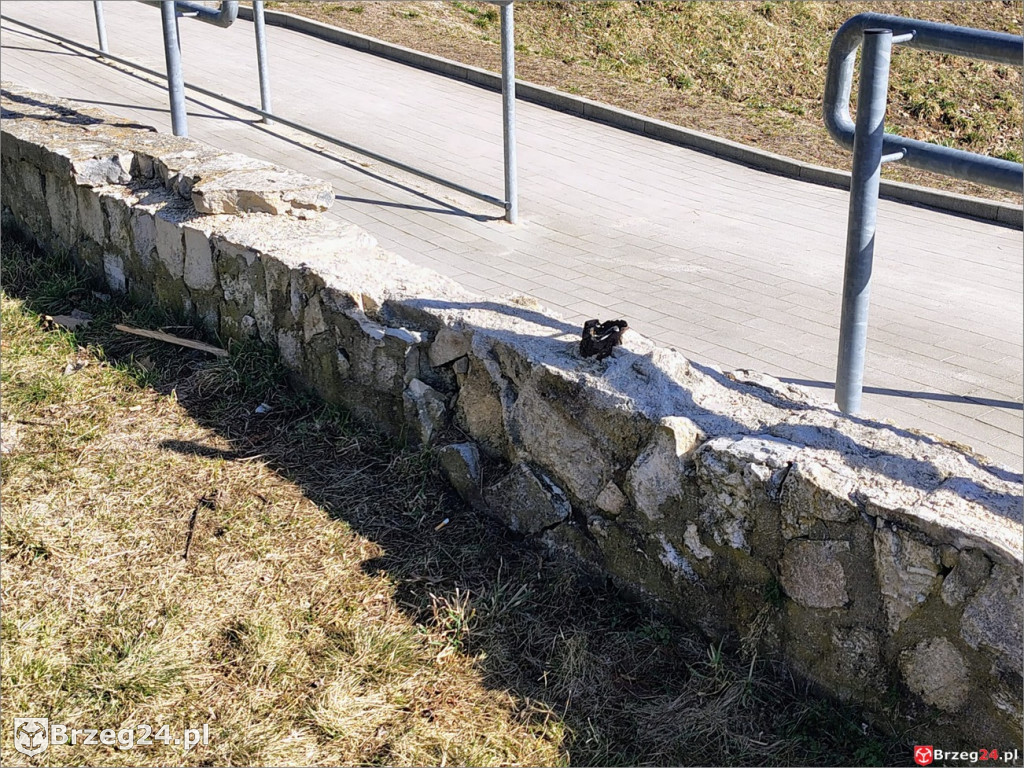 Wodnik - 20 lat dzierżawy i remont w pakiecie