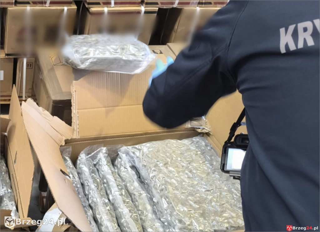 Marihuana warta 2,5 mln zł na palecie w firmie