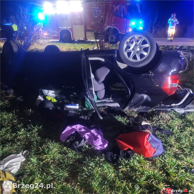 Dachowanie w Wierzbniku