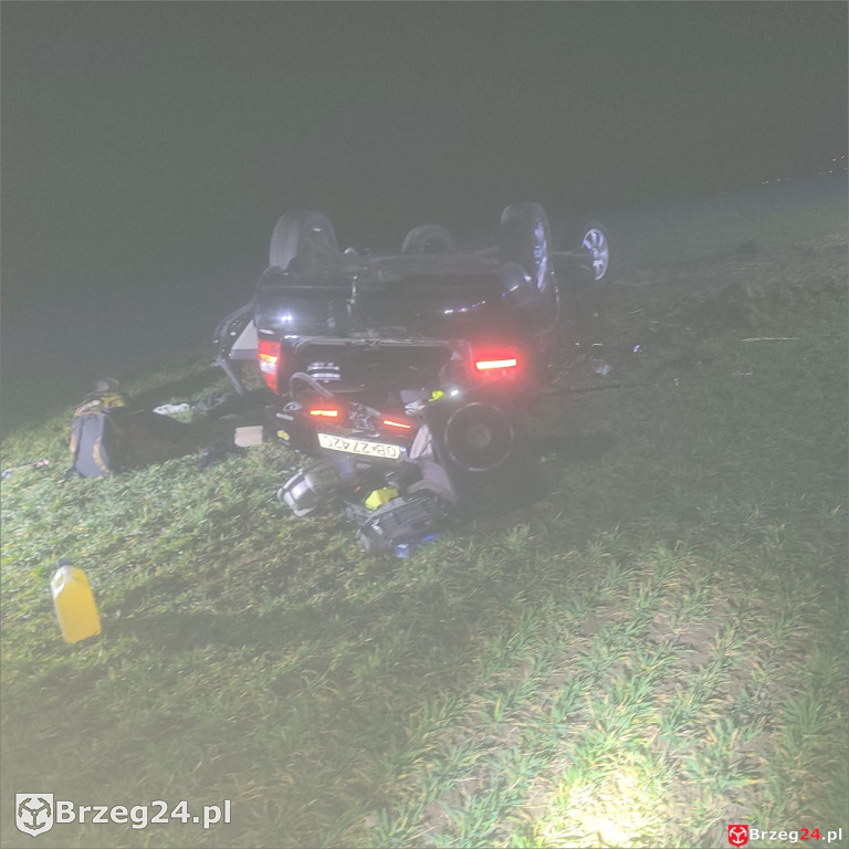 Dachowanie w Wierzbniku