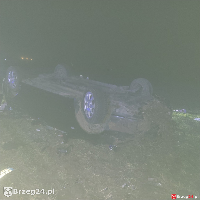 Dachowanie w Wierzbniku