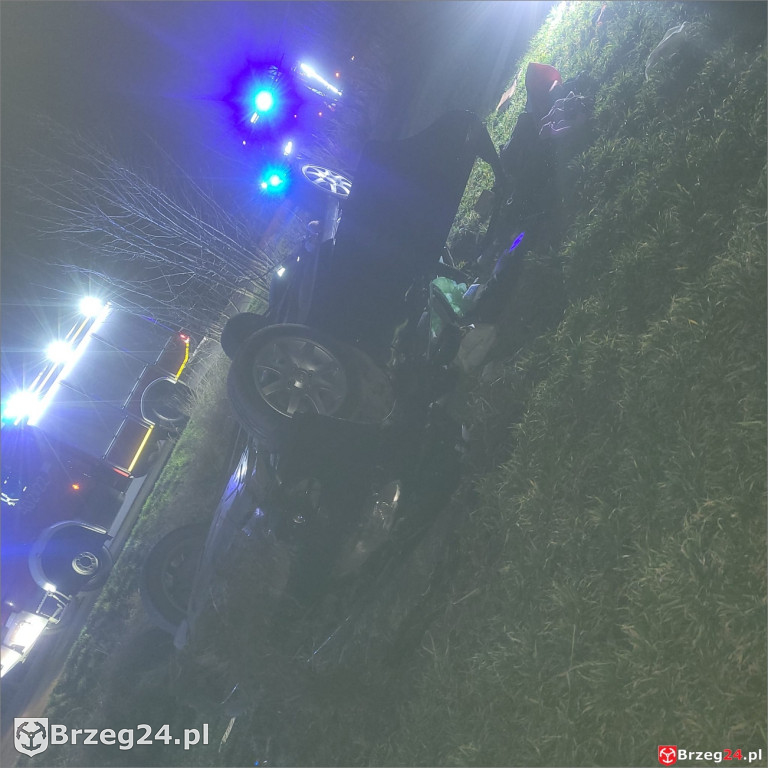 Dachowanie w Wierzbniku