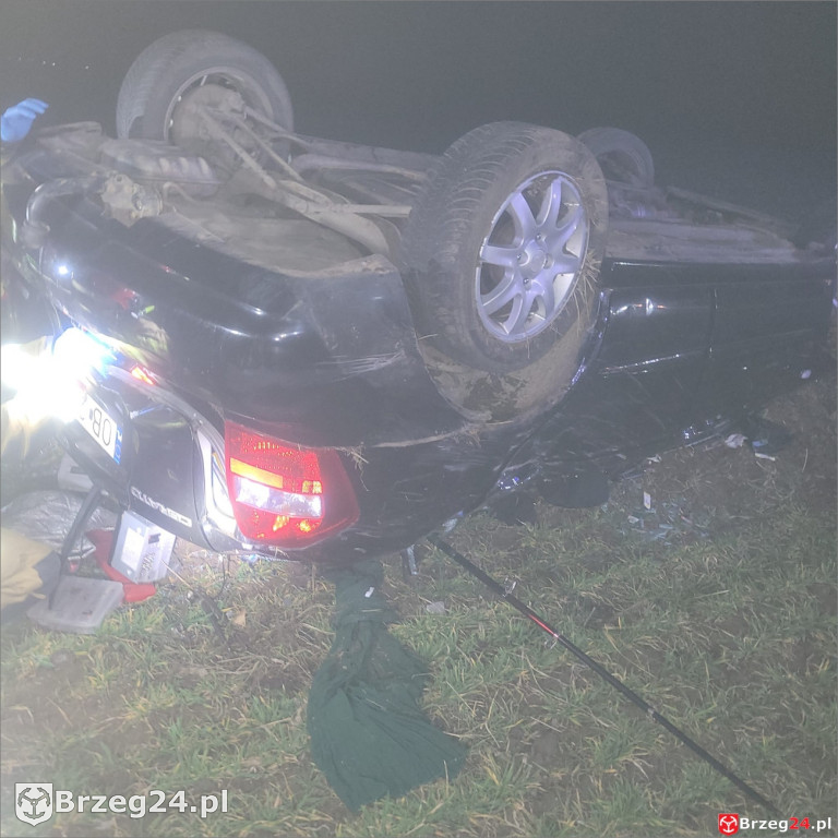 Dachowanie w Wierzbniku