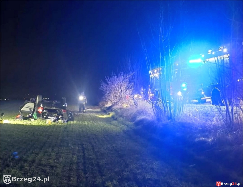 Dachowanie w Wierzbniku