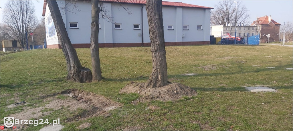 Przedziwna historia strefy relaksu nad Odrą