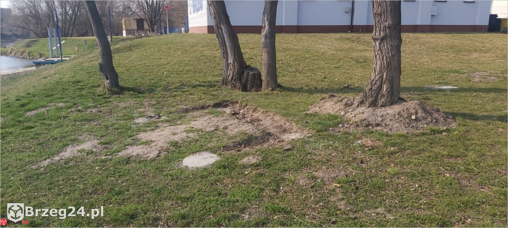 Przedziwna historia strefy relaksu nad Odrą