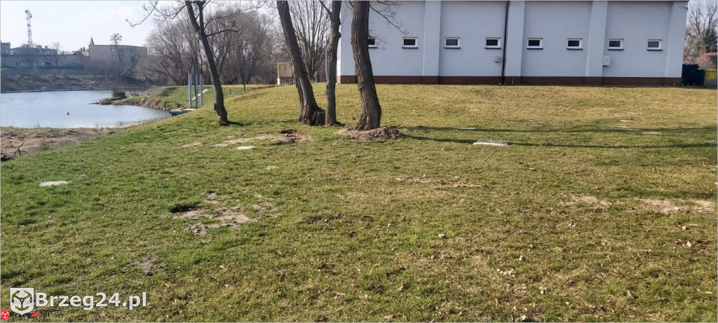 Przedziwna historia strefy relaksu nad Odrą