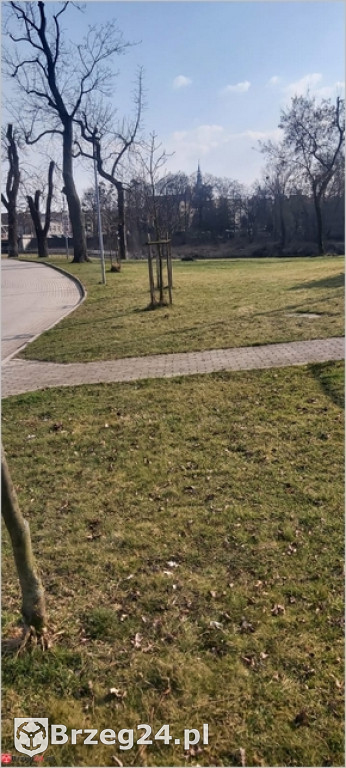 Przedziwna historia strefy relaksu nad Odrą