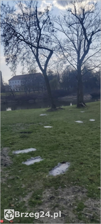 Przedziwna historia strefy relaksu nad Odrą