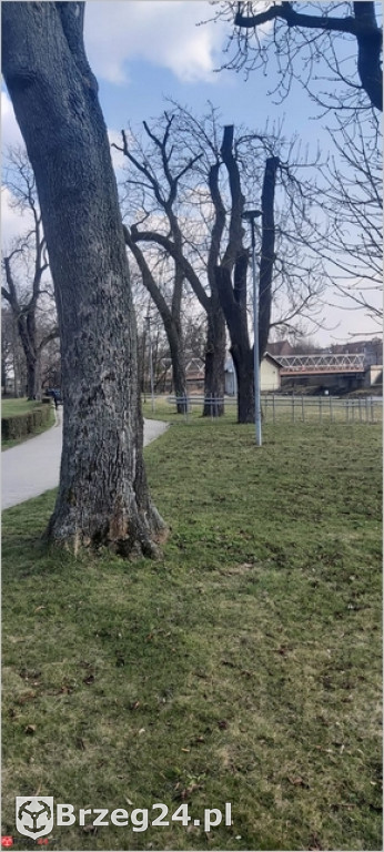 Przedziwna historia strefy relaksu nad Odrą