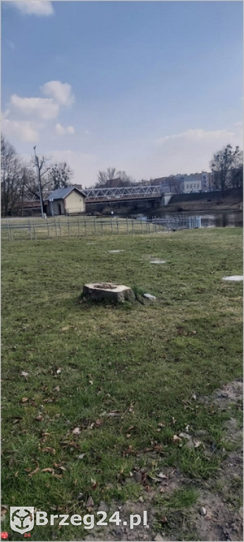 Przedziwna historia strefy relaksu nad Odrą