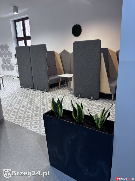 Strefa ciszy w szkole w Skorogoszczy