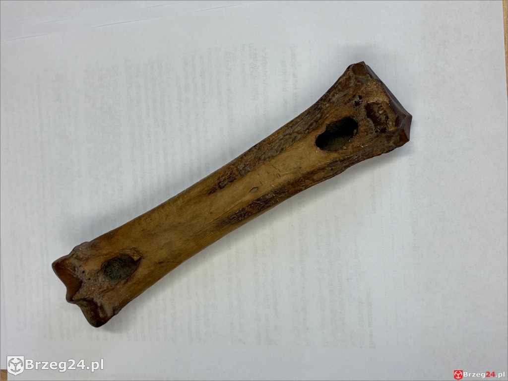 Archeologia na wyciągnięcie ręki