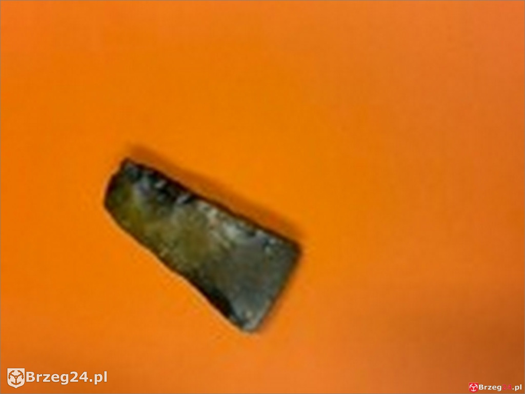 Archeologia na wyciągnięcie ręki