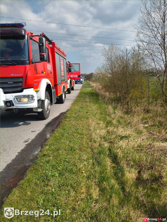 Pożar auta między Małujowicami a Zielęcicami