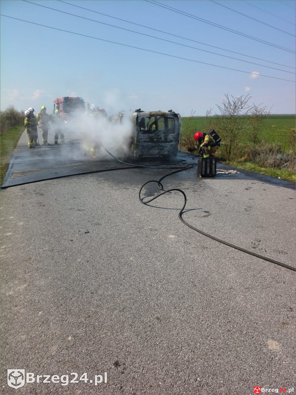 Pożar auta między Małujowicami a Zielęcicami