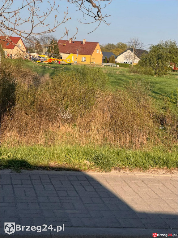 Mężczyzna przygnieciony przez konar