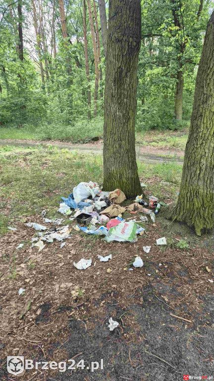 Po weekendzie zostawili góry śmieci