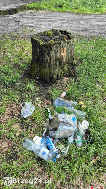 Po weekendzie zostawili góry śmieci