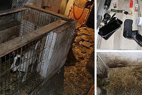 Tarnowiec. Nie tylko powieszony pies. Policja ujawniła broń i narkotyki