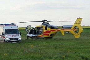8 latek pogryziony przez psa w Szydłowicach. Na miejsce wezwano LPR