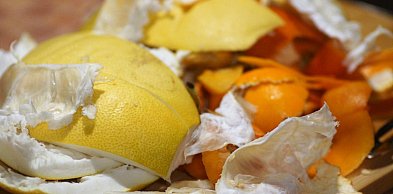 Czy wszystkie resztki to bioodpady?