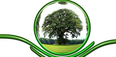  Ekologia nie tylko w domu - co robić w miejscach publicznych, żeby dbać…