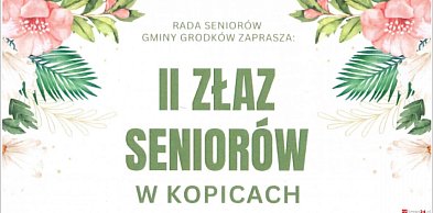 II Złaz Seniorów w Kopicach. Muzyka, zwiedzanie i wspólne świętowanie