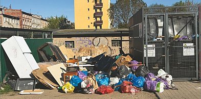 Śmieci wracają szybciej niż służby. Dzikie wysypisko w Brzegu
