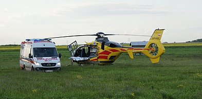 8 latek pogryziony przez psa w Szydłowicach. Na miejsce wezwano LPR