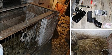 Tarnowiec. Nie tylko powieszony pies. Policja ujawniła broń i narkotyki