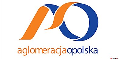 Mieszkańcy Lewina Brzeskiego mogą zdecydować o energii. Ruszyła ankieta