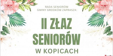 II Złaz Seniorów w Kopicach. Muzyka, zwiedzanie i wspólne świętowanie