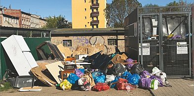 Śmieci wracają szybciej niż służby. Dzikie wysypisko w Brzegu