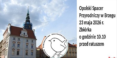 Rynek, Odra i parki. Przyrodnicza wyprawa przez Brzeg