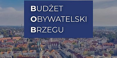 Budżet Obywatelski z poślizgiem. Sprawdź nowe terminy