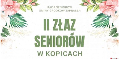 II Złaz Seniorów w Kopicach. Muzyka, zwiedzanie i wspól