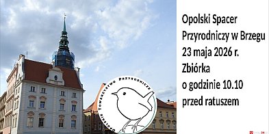 Rynek, Odra i parki. Przyrodnicza wyprawa w Brzegu