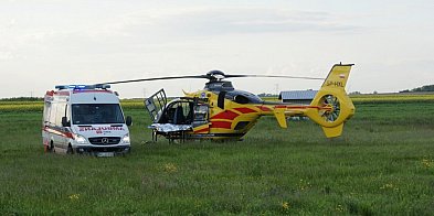 8 latek pogryziony przez psa w Szydłowicach