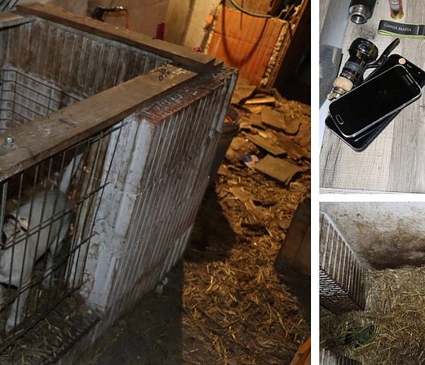 Tarnowiec. Nie tylko powieszony pies. Policja ujawniła broń i narkotyki