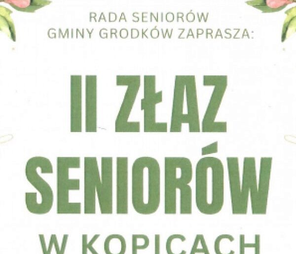 II Złaz Seniorów w Kopicach. Muzyka, zwiedzanie i wspólne świętowanie