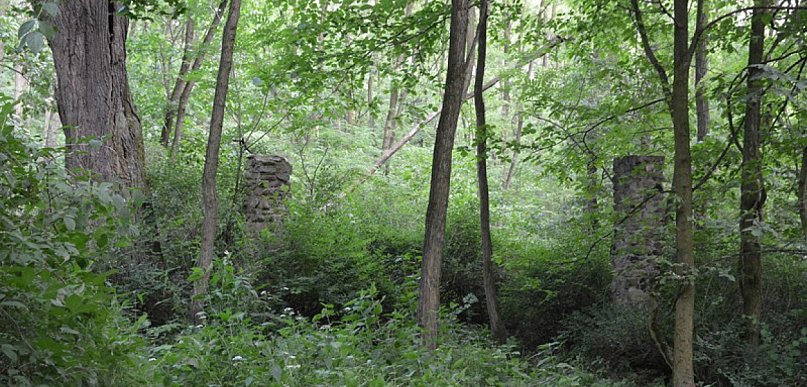 Szukają Żołnierzy Wyklętych